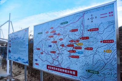 岳西縣“三個打造”舉措助推中藥材產業與醫藥技術高質量發展