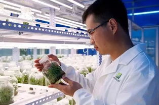 科技日報 安利聯合中國中醫科學院中藥研究所宣布率先完成菊花全基因組測序工作，助力中醫藥研究現代化